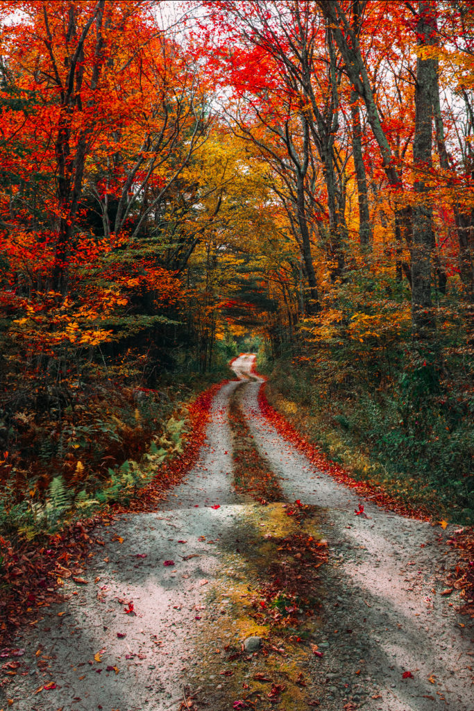 Country-Road-Tumblr-1-683x1024